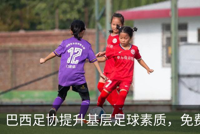 巴西足协提升基层足球素质，免费培训项目全新升级