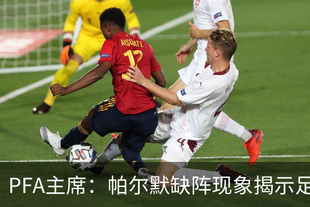 PFA主席：帕尔默缺阵现象揭示足球赛程的深层危机